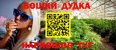бошки Дубна