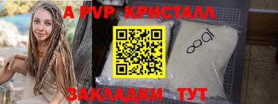 стаф Кингисепп