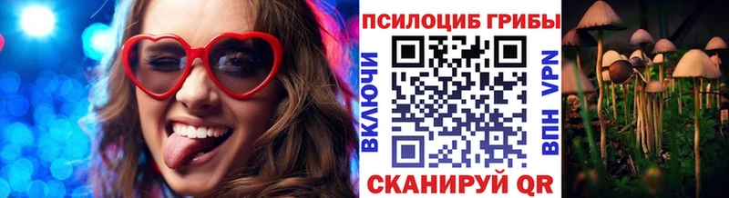 хочу наркоту  Зима  Псилоцибиновые грибы мухоморы 