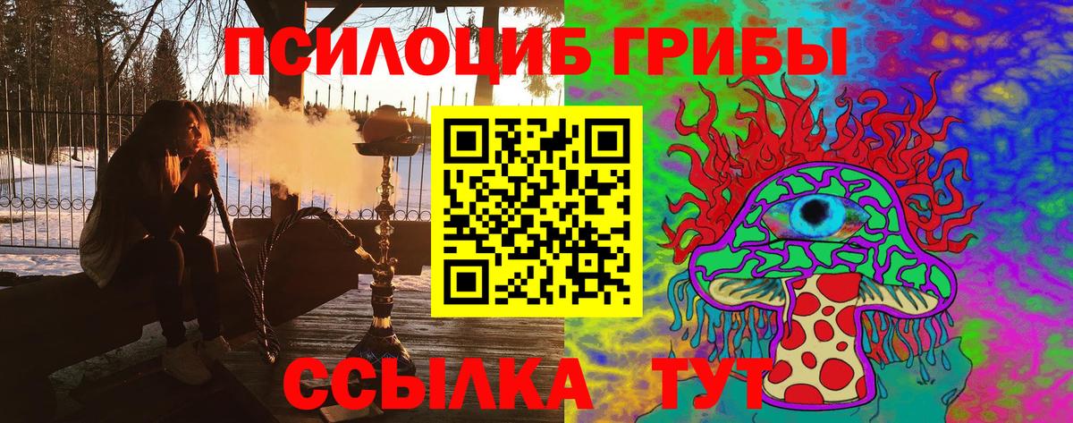 Зима  Галлюциногенные грибы прущие грибы  где купить наркотик  Вход с VPN 